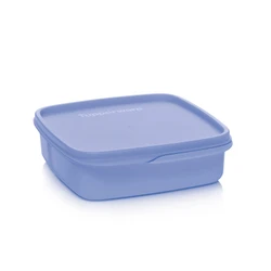 TUPPERWARE BÖLMELİ BESLENME KUTUSU LİLA