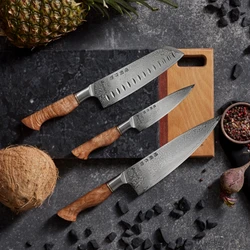 Karaca Virtuoso Rudis Damascus Santoku Bıçağı