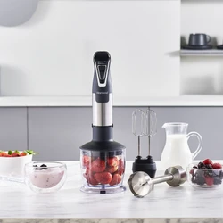 Homend Handmaid 1965h Inox Çelik Bıçaklı Blender Set