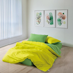 Cozy Home Popping Colors Tek Kişilik Lastikli Çarşaflı Nevresim Takımı Sage Kırmızı-Fuşya