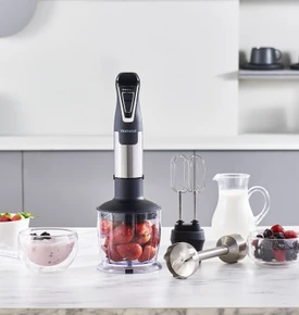 Homend Handmaid 1965h Inox Çelik Bıçaklı Blender Set