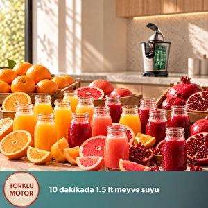 Homend Vitamillion 2603H Pro Elektrikli Çelik Narenciye ve Nar Sıkacağı görseli 4