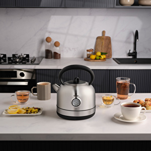 Emsan Retro Su Isıtıcısı 2202 Inox 1,7L 2200W görseli 2