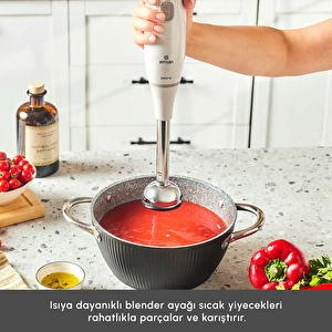 Emsan Pro Multimax 6 in 1 Çok Amaçlı Mutfak Robotu İconic Beige görseli 11