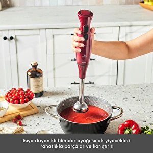 Emsan Pro Multimax 6 in 1 Çok Amaçlı Mutfak Robotu Red 2000 W görseli 10