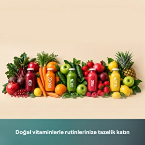 Homend Vitamillion 2605H Katı Meyve Sıkacağı görseli 7