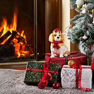 Karaca Home Cavalier Dog Dekoratif Kutu 25cm görseli 2