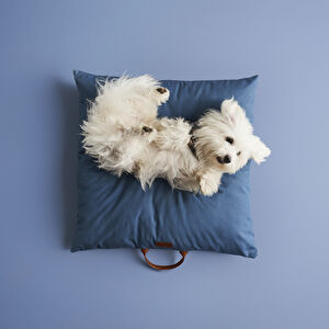 Karaca Home X Pati Marley Indigo Kare Minder görseli 1