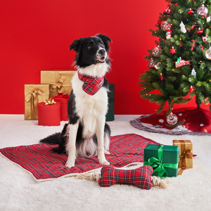 Karaca Home X Pati Wish Kırmızı Ekose Pet Battaniye 70x100 cm görseli 1