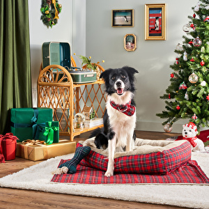 Karaca Home X Pati Ginger Kırmızı Kedi Köpek Yatağı görseli 4
