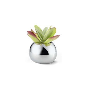 Philippi Bella Vazo 12 cm görseli 4