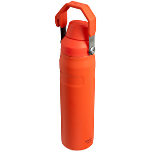 Stanley The Aerolight IceFlow Soğuk Su Termosu 600 ml Tigerlily  görseli 2