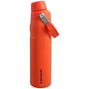 Stanley The Aerolight IceFlow Soğuk Su Termosu 600 ml Tigerlily  görseli 1