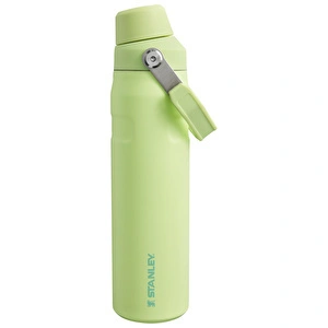 Stanley The Aerolight IceFlow Soğuk Su Termosu 600 ml Citron  görseli 1