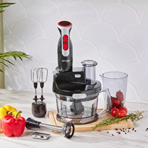EMSAN PRO-MULTİMAX 1001 ROB BLENDER SET görseli 2