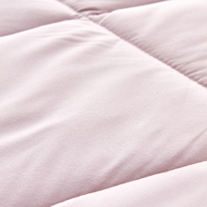 Sarah Anderson Grimes Mikrofiber Çift Kişilik Yorgan Lila  görseli 4