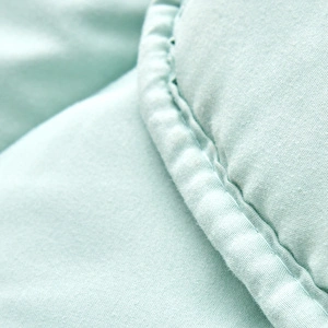 Sarah Anderson Grimes Mikrofiber Çift Kişilik Yorgan Mint  görseli 4
