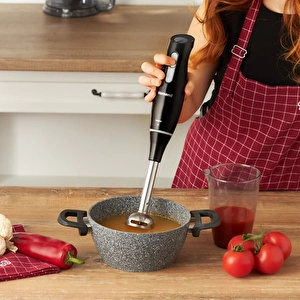 Homend Handmaid 1908H Blender Set Siyah Gri görseli 4