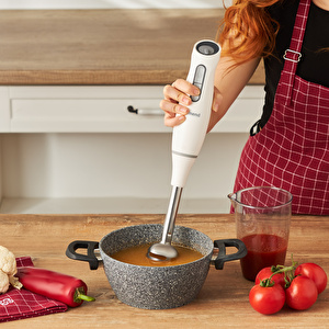 Homend Handmaid 1937H Çubuk Blender Krem 1000W görseli 2