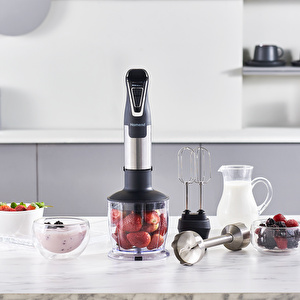 Homend Handmaid 1965h Inox Çelik Bıçaklı Blender Set görseli 3