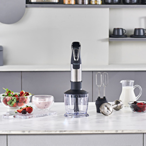 Homend Handmaid 1965h Inox Çelik Bıçaklı Blender Set görseli 2