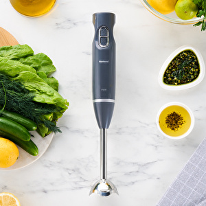 Homend Handmaid 1935h Çubuk Blender Antrasit 1700W görseli 2