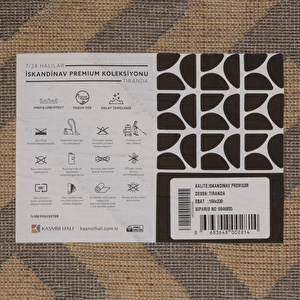Kaşmir Halı 7/24 İskandinav Premium Tiranda 200x290 cm görseli 7