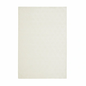Kaşmir Halı 7/24 Soft Lyon 80x150 cm görseli 3
