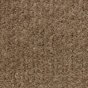 Kaşmir Halı 7/24 Dört Mevsim Bej 200x290 cm görseli 4