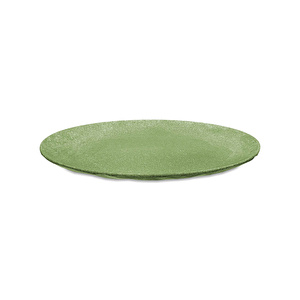 Koziol 4'lü Tabak 26 cm Yeşil  görseli 2