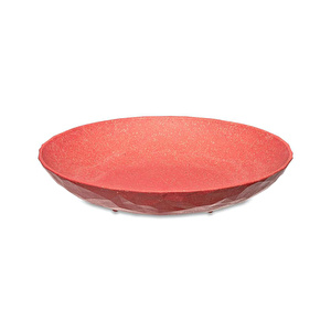 Koziol 4'lü Tabak 22 cm Mercan görseli 2