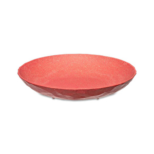 Koziol 4'lü Tabak 22 cm Mercan görseli 4