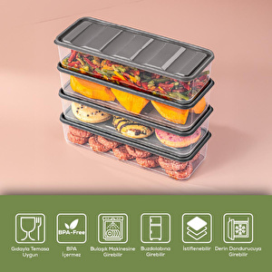 Vienev 4'lü 1,65 Litre Buzdolabı Düzenleyici Organizer Mikrodalgaya Uygun Difriz Saklama Kabı Gri görseli 4