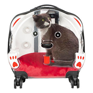 Bloominbag Pawbuddy Clear Companion – Şeffaf Tekerlekli Evcil Hayvan Taşıma Çantası