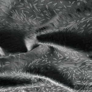 Penelope %100 Pamuk Saten Nevresim Seti 240x220 Cm Antrasit - Plume Serisi görseli 5