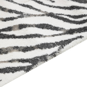 Mudo Home Zebra 2'li̇ Banyo Paspas Seti̇ görseli 5