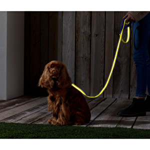 Tchibo Köpek Tasması, Reflektörlü