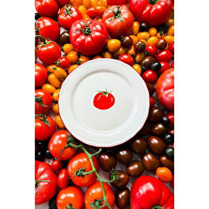 Rakle Pomodoro Stoneware 4'lü Pasta Tabağı Seti 21 Cm