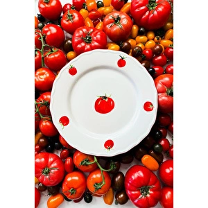 Rakle Pomodoro Stoneware 4'lü Servis Tabağı Seti 28 Cm görseli 4