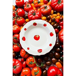 Rakle Pomodoro Stoneware 4'lü Yemek Tabağı Seti 23 Cm görseli 5