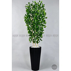 Biçiçek Yapay Bambu Ve Benjamin 6 Dallı Yoğun Yapraklı 220 Cm Siyahbenjami̇n görseli 6