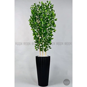 Yapay Bambu Ve Benjamin 6 Dallı Yoğun Yapraklı 220 Cm Siyahbenjami̇n