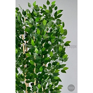 Biçiçek Yapay Bambu Ve Benjamin 6 Dallı Yoğun Yapraklı 220 Cm Siyahbenjami̇n görseli 3