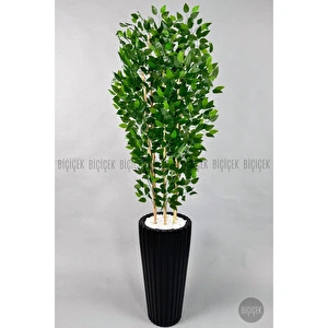 Biçiçek Yapay Bambu Ve Benjamin 6 Dallı Yoğun Yapraklı 220 Cm Siyahbenjami̇n görseli 5