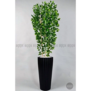 Biçiçek Yapay Bambu Ve Benjamin 6 Dallı Yoğun Yapraklı 220 Cm Siyahbenjami̇n görseli 4