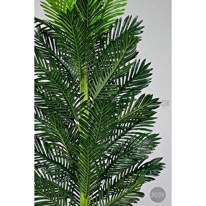 Biçiçek Areka Palmiyesi 150cm Metal Siyah Gümüş Saksıda görseli 3