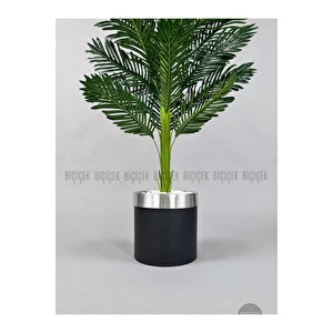Biçiçek Areka Palmiyesi 150cm Metal Siyah Gümüş Saksıda görseli 2