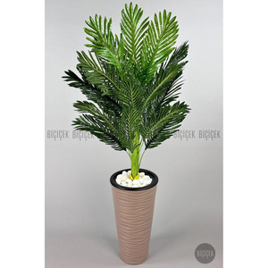 Biçiçek 150cm Areka Ağacı Kumsal Saksıda 3