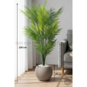 Areka Ağaci 24 Yaprakli 130 Cm Küre Saksida Kahverengi