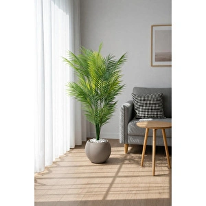 Biçiçek Areka Ağaci 24 Yaprakli 130 Cm Küre Saksida Kahverengi görseli 6